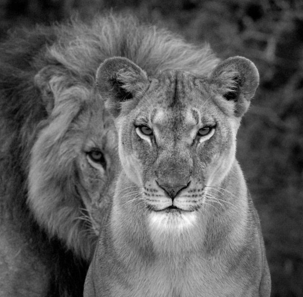 Intimidation women to men... thoughts, quotes, encouragement, opinion?
