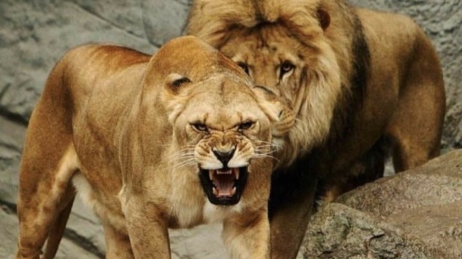 Intimidation women to men... thoughts, quotes, encouragement, opinion?