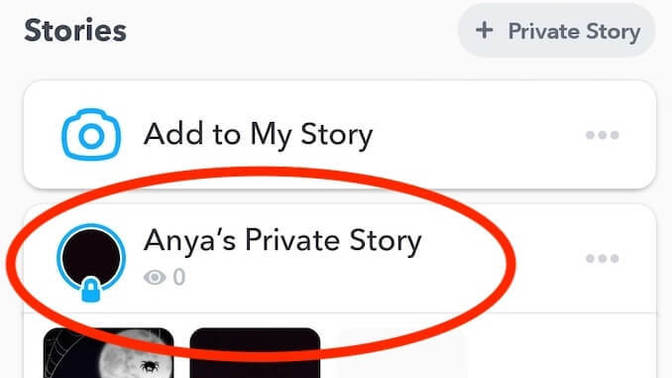 Forgive the boomer question but what's the point of close friends/private snap stories?