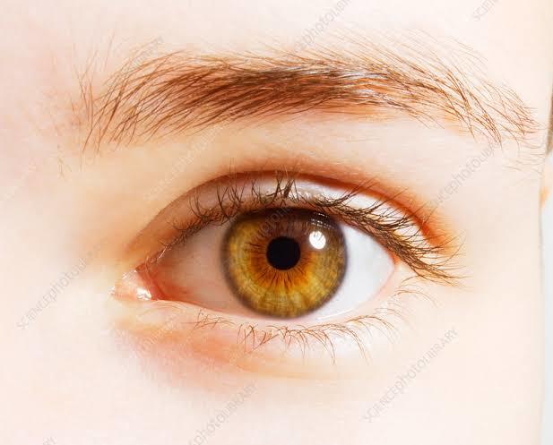 What is your favorite eye color for dating?