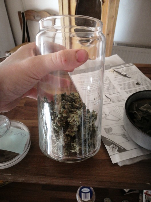 Do You Smoke Weed?