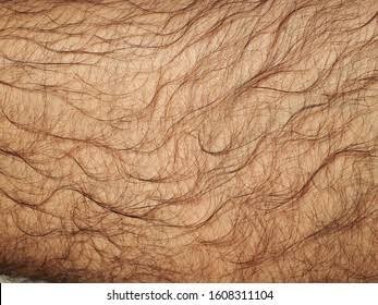 Whats your take on thigh hair specifically?