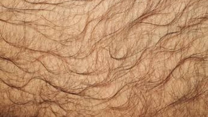 What's your take on thigh hair specifically?