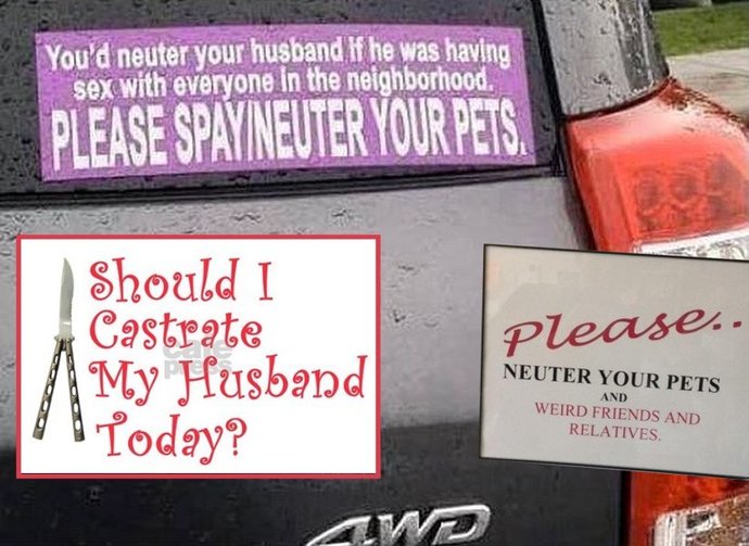 You'd neuter your husband if he was having sex with everyone.