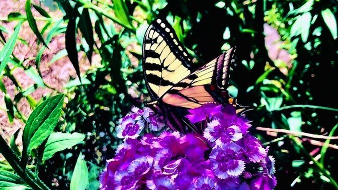 Do you think it’s better to live a dark reality (for whatever reason you can’t change) or beautiful fantasy life (provided you do not harm Others)?