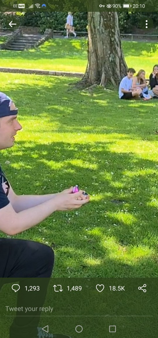 Do you think this is the cutest Pokèmon engagement?