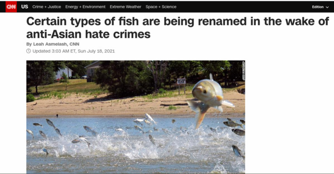 Will the renaming of the Asian Carp to Invasive Carp help quell the xenophobic connotation associated with this rabble-rousing fish?