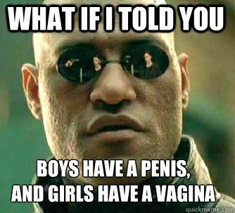 Why are male pedophiles seen as worse than female pedophiles?