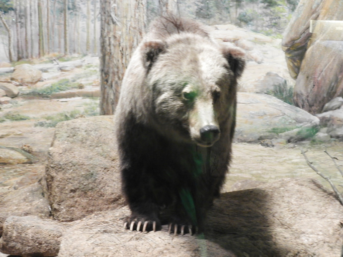 Which Extinct Animal Do You Think They Will Find Next ?