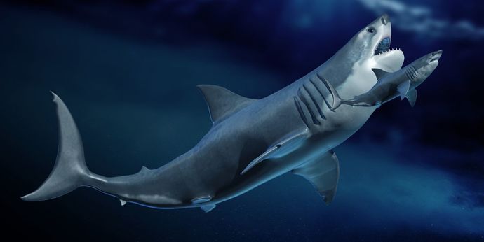 Which Extinct Animal Do You Think They Will Find Next ?
