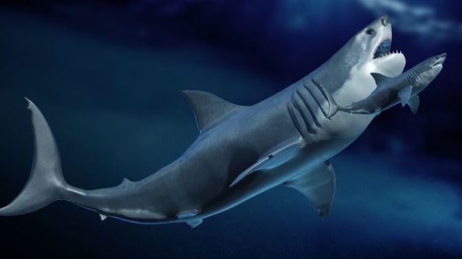 Which Extinct Animal Do You Think They Will Find Next?