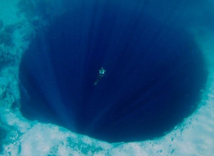 If you were swimming in the open ocean, which of these scenarios would be more frightening?