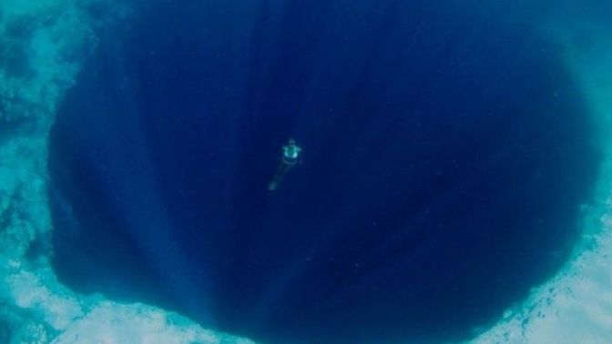 If you were swimming in the open ocean, which of these scenarios would be more frightening?