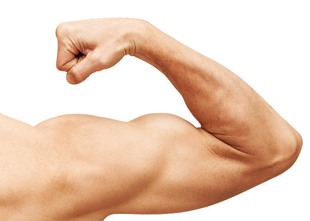 True or False: Men become muscular to attract and land the hottest women?