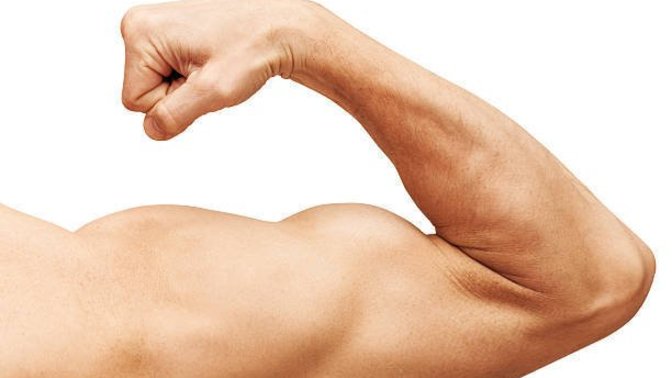 True or False: Men become muscular to attract and land the hottest women?