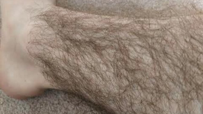 Girls, Your thoughts and preference about overly hairy guys?