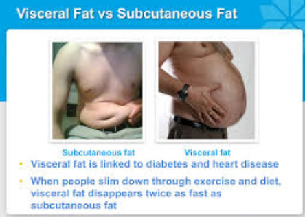 Not sure how accurate the bullet points above are, but these are good examples of each.