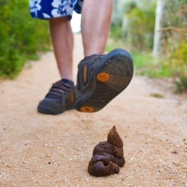 Anyone else wish there were parks where NO DOGS were allowed so that you could walk barefoot without worrying about stepping in shit?