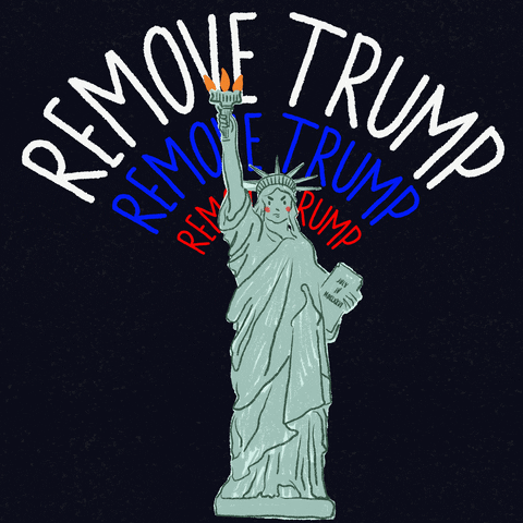 Why are they allowing a mentally ill man like trump to continue to rouse-up the uneducated deplorables, shouldn't trump be restrained at this point?