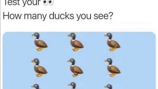 How many ducks?