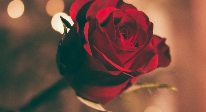 How do you know if it is, Love or Obsession?