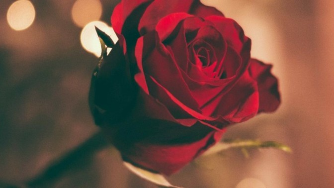 How do you know if it is, Love or Obsession?