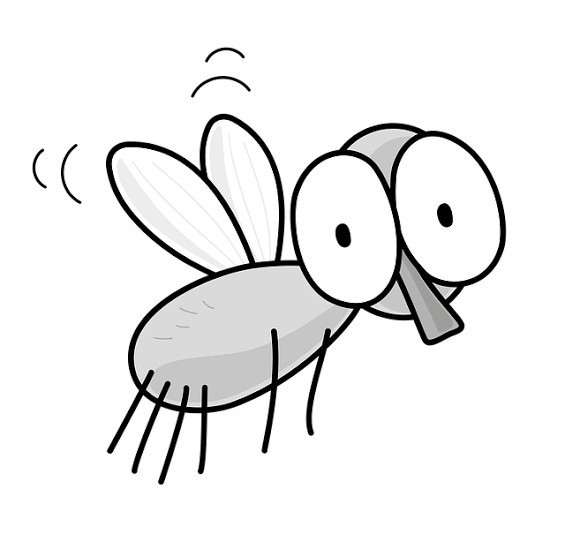 When last did you kill a bug?