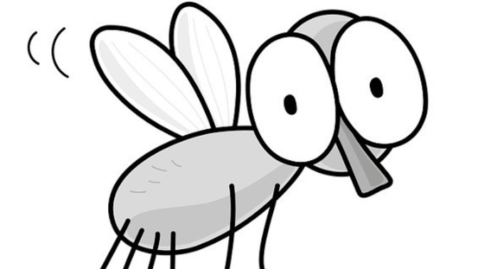 When last did you kill a bug?