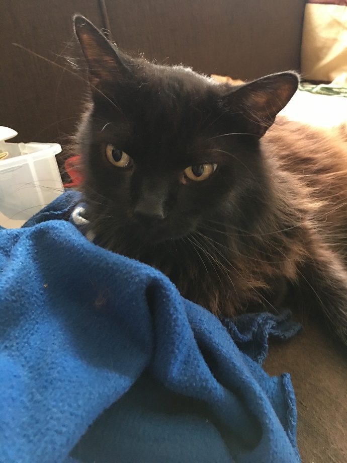 What was the last photo you took?