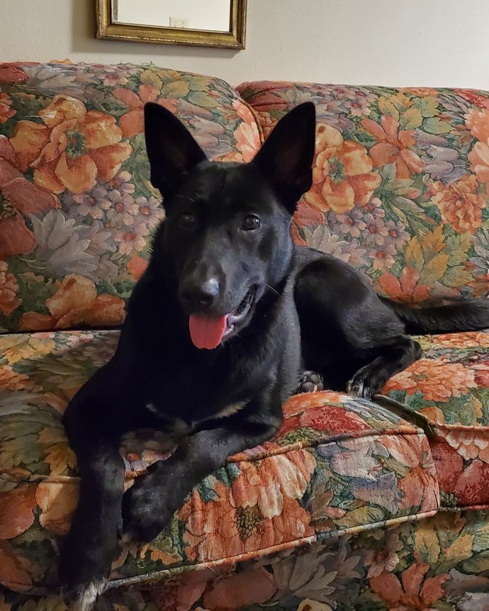 What was the last photo you took?