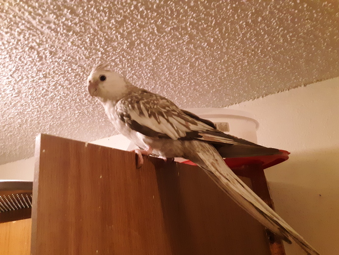 What was the last photo you took?