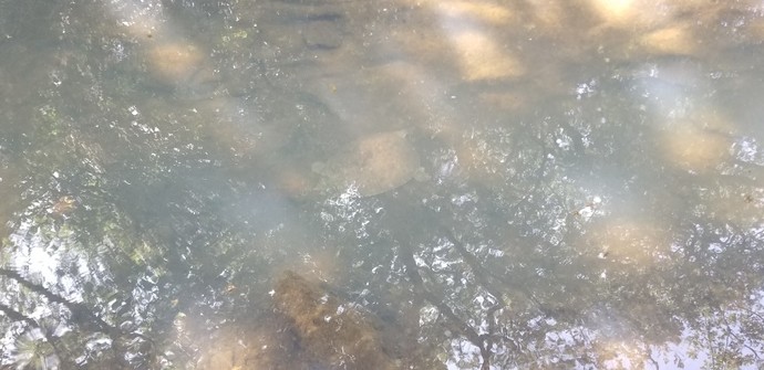 What was the last photo you took?