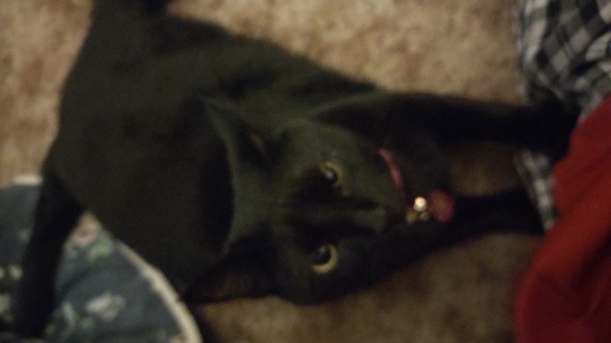 What was the last photo you took?