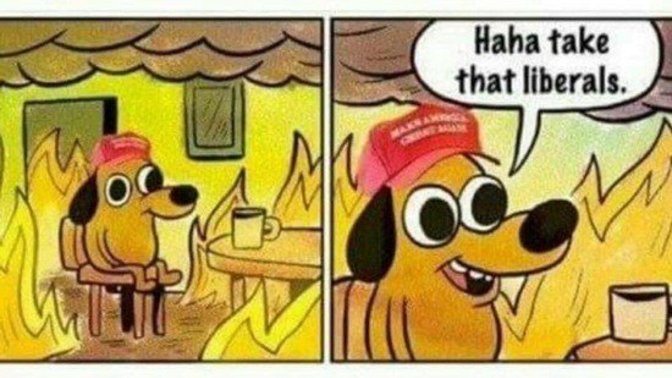 Should the MAGA who won't get the vaccine tell them that the Libs don't WANT them to get the vaccine so that Conservatives will die off and not vote?