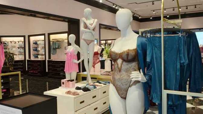 Girls, Ladies, how do you feel about the changes made to Victoria's Secret?