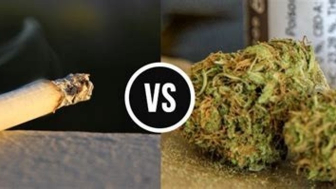 Cigerettes or weed?