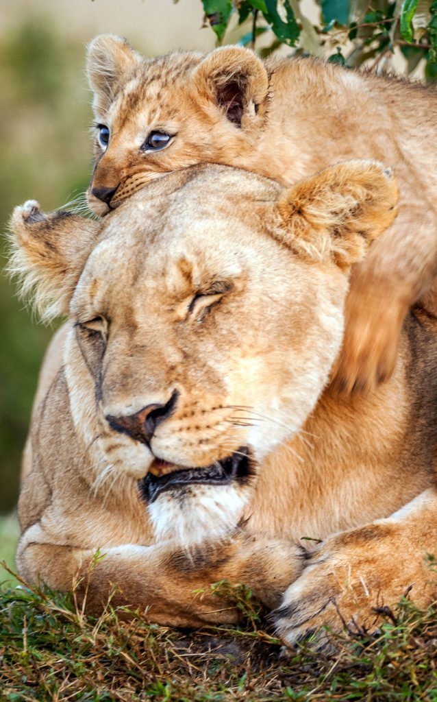 Is it weird that as a guy, I love cuddling? GirlsAskGuys