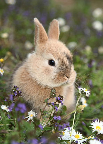 The cute guy