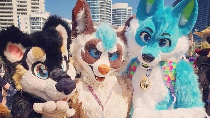 How do you feel about the furry community?