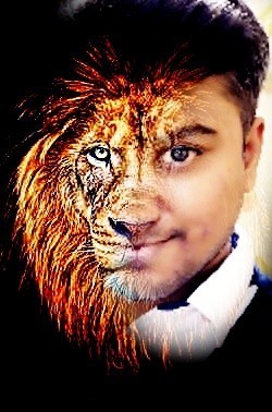 What animal are you most like?