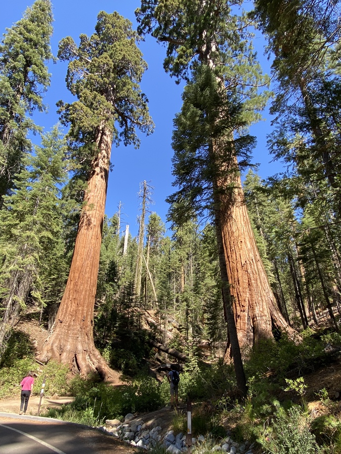 Have you ever been to Yosemite?