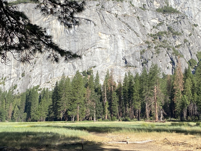 Have you ever been to Yosemite?