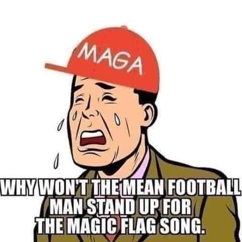 Why do Trump Supporters get triggered so easily?