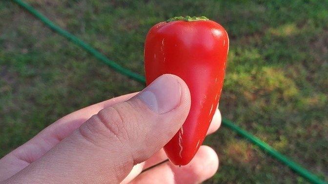 What fun ways can we spice things up at night? Literally. Using hot pepper in the bedroom anyone?