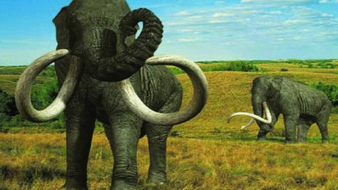 What are some cool ice age animals that lived where you live now?