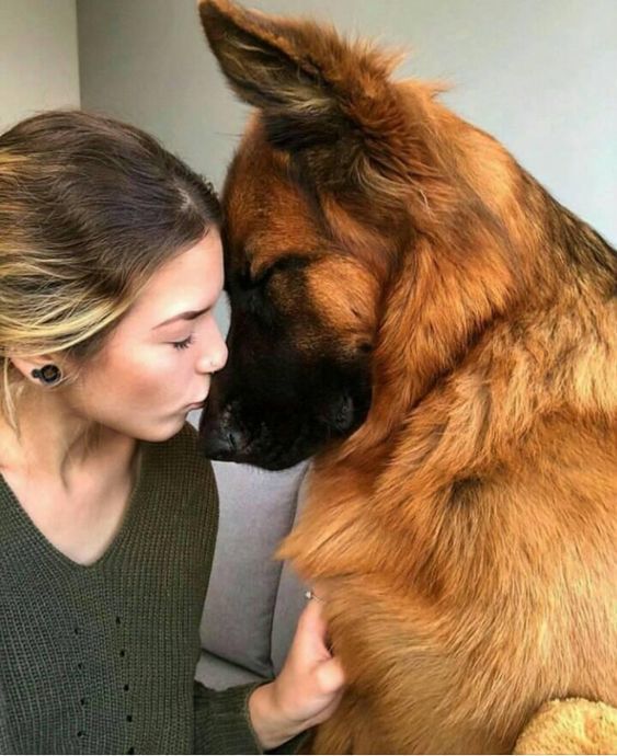 Big dog girl or small dog girl? Which one are you? Which one is better?