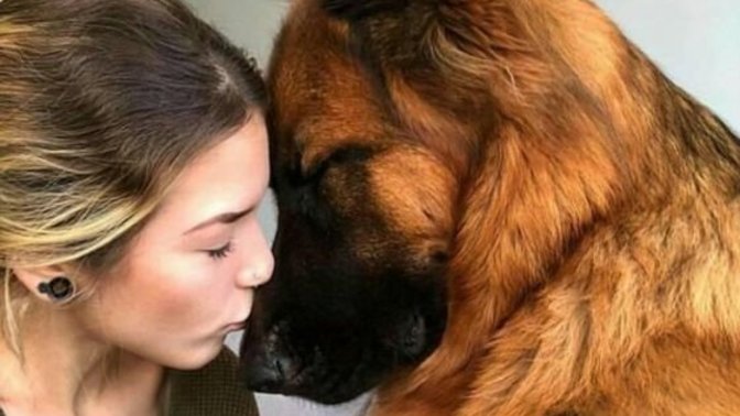 Big dog girl or small dog girl? Which one are you? Which one is better?