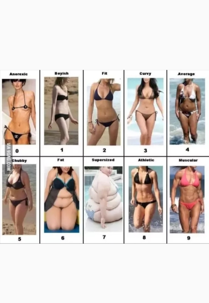 Guys, Which female body type are you most attracted to?