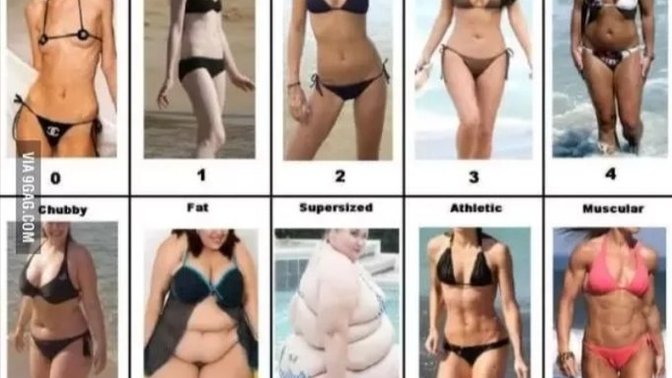 Guys, Which female body type are you most attracted to?