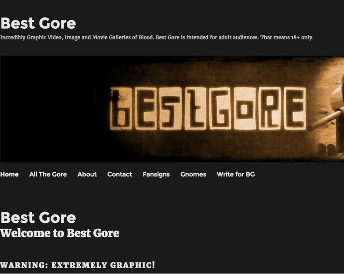Have you ever seen any videos from gore websites? GirlsAskGuys